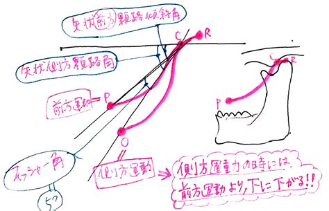 路角|矢状顆路角と側方顆路角について教えてください